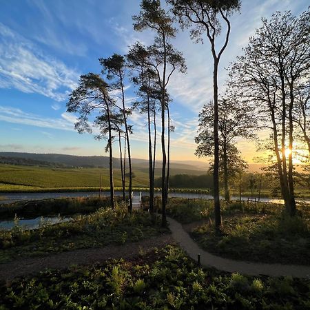Loisium Wine & Spa Hotel Champagne Mutigny Eksteriør bilde