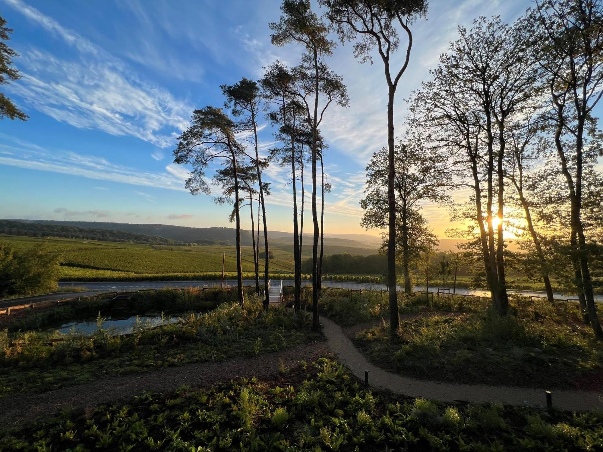 Loisium Wine & Spa Hotel Champagne Mutigny Eksteriør bilde